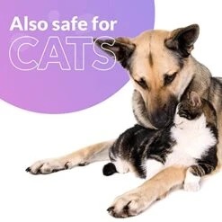 Wuffes 17-in-1 Chewable Dog Vitamins & Supplements - Dog Multivitamin For Small & Large Breed - Whole Food Sources Pet Vitamins Formula - For Skin, Coat Heart, Hips, Joints, Digestion & Immune System -Dog Supply Store 51eifj7I3zL