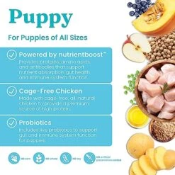 Solid Gold Dry Puppy Food W/Nutrientboost - Made With Real Chicken & Nutritious Superfoods - Love At First Bark Grain Free Puppy Dry Food For Healthy Growth, Energy And Gut Wellness - 3.75 LB Bag -Dog Supply Store 51emJuH1w8L