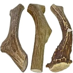 WhiteTail Naturals | 3 Pack Medium | Deer Antler Dog Chews | All Natural Organic Antlers For Dogs | Long Lasting Antler Bones For Dogs | Durable Antler Dog Toy -Dog Supply Store 51grUVSYsL. AC