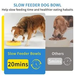 Pets Slow Feeder Bowls Dog Puzzle Toys Non Slip Smart Food Dispenser IQ Interactive Training Toy For Large/Small/Medium Cat Dog Puppies Breed 15 Pets Slow Feeder Bowls Dog Puzzle Toys Non Slip Smart Food Dispenser IQ Interactive Training Toy For Large/Small/Medium Cat Dog Puppies Breed -Dog Supply Store 51gz7ZczAYL