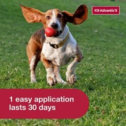 K9 Advantix II Medium Dog Vet-Recommended Flea, Tick & Mosquito Treatment & Prevention | Dogs 11-20 Lbs. | 2-Mo Supply -Dog Supply Store 51h5B7pC7LL