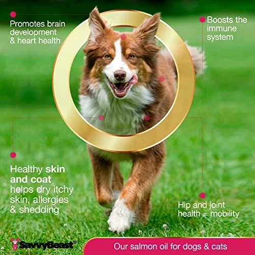 Pure Wild Alaskan Salmon Oil For Dogs, Cats, Ferrets - 16 Oz Liquid Omega 3 Fish Oil, Pump On Food - Unscented All Natural Supplement For Skin And Coat, Joints, Heart, Brain, Allergy, Weight, Immune 4 Pure Wild Alaskan Salmon Oil For Dogs, Cats, Ferrets - 16 Oz Liquid Omega 3 Fish Oil, Pump On Food - Unscented All Natural Supplement For Skin And Coat, Joints, Heart, Brain, Allergy, Weight, Immune - Image 2