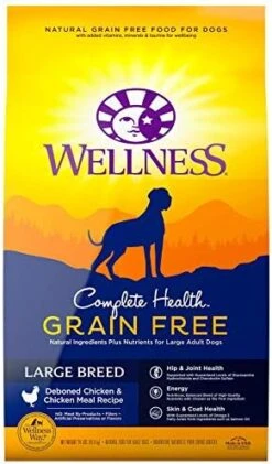 Wellness Complete Health Grain-Free Small Breed Dry Dog Food, Natural Ingredients, Made In USA With Real Turkey, For All Lifestages (Turkey, Chicken & Salmon, 4-Pound Bag) -Dog Supply Store 51iHzFr9fL. AC