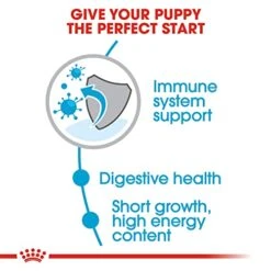 Royal Canin Size Health Nutrition Medium Puppy Dry Dog Food, 30 Lb Bag -Dog Supply Store 51iQe72h7cL