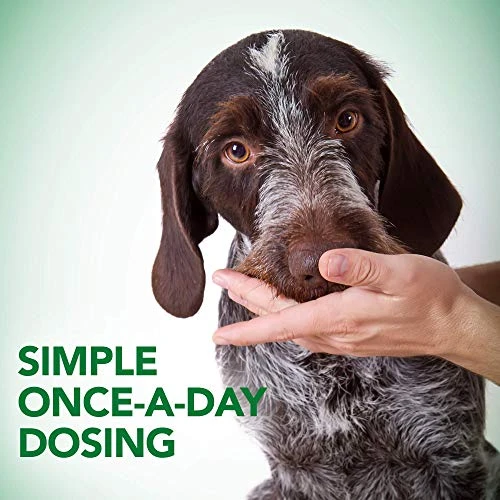 Vet's Best Probiotic Soft Chews Dog Supplements | Supports Dog Digestive Health | Promotes A Healthy Gut | 30 Day Supply 6 Vet's Best Probiotic Soft Chews Dog Supplements | Supports Dog Digestive Health | Promotes A Healthy Gut | 30 Day Supply - Image 4