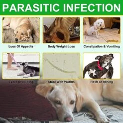 Flea & Tick Prevention For Dogs Chewable, Natural Flea And Tick Supplement For Dogs, 150 Flea And Tick Chews For Dogs, Oral Flea Pills For All Breeds And Ages Dogs -Dog Supply Store 51imiO4TYVL