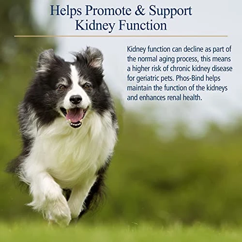 Rx Vitamins For Pets - Phos-Bind 35 Gm Powder 4 Rx Vitamins For Pets - Phos-Bind 35 Gm Powder - Image 2