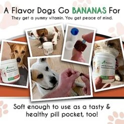 Balanced Breed Dog Vitamins Probiotics Dogs Glucosamine Dogs Chews Dog Joint Supplement Large Breed Dog Calming Treats Dog Multivitamin Dog Vitamins Supplements Dog Anxiety Relief Dog Pill Pocket Chew 8 Balanced Breed Dog Vitamins Probiotics Dogs Glucosamine Dogs Chews Dog Joint Supplement Large Breed Dog Calming Treats Dog Multivitamin Dog Vitamins Supplements Dog Anxiety Relief Dog Pill Pocket Chew -Dog Supply Store 51jSYl597oL