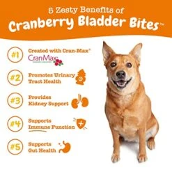Cranberry Soft Chews For Dogs - Kidney, Bladder & Urinary Tract Wellness Supplement - With D Mannose & Organic Astragalus + Antioxidants - Immune System Support - Bacon Flavor - 80 Count 11 Cranberry Soft Chews For Dogs - Kidney, Bladder & Urinary Tract Wellness Supplement - With D Mannose & Organic Astragalus + Antioxidants - Immune System Support - Bacon Flavor - 80 Count -Dog Supply Store 51jTB6uJCTL 1