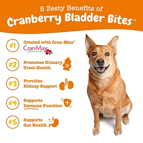 Cranberry Soft Chews For Dogs - Kidney, Bladder & Urinary Tract Wellness Supplement - With D Mannose & Organic Astragalus + Antioxidants - Immune System Support - Bacon Flavor - 80 Count 5 Cranberry Soft Chews For Dogs - Kidney, Bladder & Urinary Tract Wellness Supplement - With D Mannose & Organic Astragalus + Antioxidants - Immune System Support - Bacon Flavor - 80 Count - Image 3