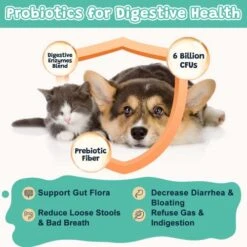 Probiotics For Dogs Digestive Health, Dog Probiotics And Digestive Enzymes, Prebiotics, Omega-3 & 6 And Vitamin For Dogs, 6 Billion CFUs For Gut Health, Itchy Skin And Immune Support, 120 Chews 11 Probiotics For Dogs Digestive Health, Dog Probiotics And Digestive Enzymes, Prebiotics, Omega-3 & 6 And Vitamin For Dogs, 6 Billion CFUs For Gut Health, Itchy Skin And Immune Support, 120 Chews -Dog Supply Store 51jjkSVT7BL
