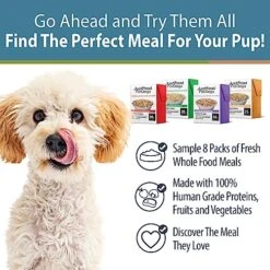 JustFoodForDogs Pantry Fresh Dog Food, Human Grade Beef, Chicken, Turkey, Lamb Variety Pack (8 Pack) 10 JustFoodForDogs Pantry Fresh Dog Food, Human Grade Beef, Chicken, Turkey, Lamb Variety Pack (8 Pack) -Dog Supply Store 51k9s7Nla0L
