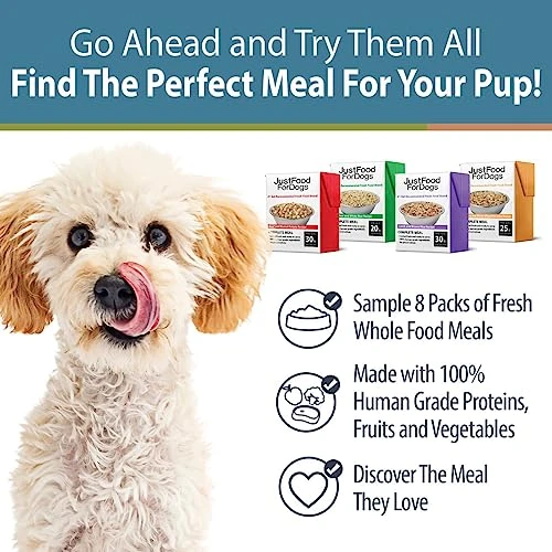 JustFoodForDogs Pantry Fresh Dog Food, Human Grade Beef, Chicken, Turkey, Lamb Variety Pack (8 Pack) 6 JustFoodForDogs Pantry Fresh Dog Food, Human Grade Beef, Chicken, Turkey, Lamb Variety Pack (8 Pack) - Image 4