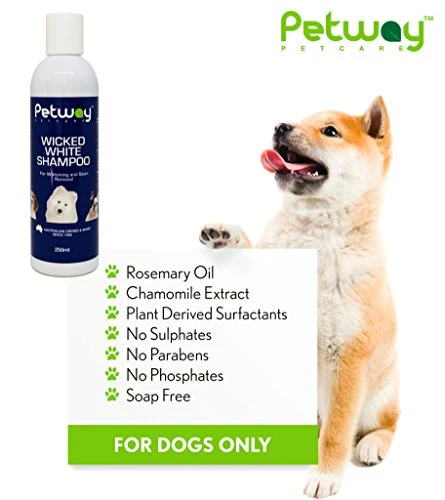 Petway Petcare Wicked White Whitening & Stain Removal Shampoo For Dogs With White Coat, Deep Cleanse To The Coat & Skin, Free Of Phosphates & Parabens, PH Balanced, Removes Dirt & Odor, 250ml 5 Petway Petcare Wicked White Whitening & Stain Removal Shampoo For Dogs With White Coat, Deep Cleanse To The Coat & Skin, Free Of Phosphates & Parabens, PH Balanced, Removes Dirt & Odor, 250ml - Image 3