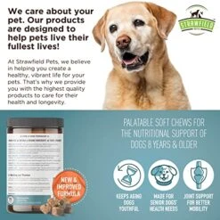 Strawfield Pets' Senior Multivitamin + Probiotics For Dogs With Milk Thistle Joint Support Supplement For Dogs Peanut Butter Flavor 120 Crunchy Soft Chews -Dog Supply Store 51l0VujuHUL