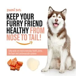 Wild Alaskan Salmon Oil For Dogs Skin And Coat (16oz) - Omega 3 Liquid Fish Oil Supplement For Dog Allergy Relief - Supports Hip And Joint, Itchy Skin Relief & Shedding - Dog Skin And Coat Supplement -Dog Supply Store 51l2UKNbkvL