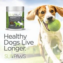 SlimPaws Healthy Weight Soft Chews For Dogs | Chicken Flavor | 60 Count | Made In America -Dog Supply Store 51lJR2Zo9NL