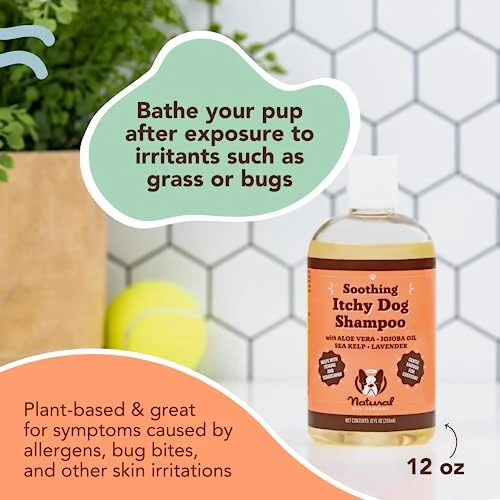 Natural Dog Company Itchy Dog Shampoo, 12 Oz., Dog Dry Skin Treatment, Dog Itch Relief, Hypoallergenic, Plant Based Ingredients, Deodorizing Dog Shampoo, Relief From Skin Allergy Symptoms 7 Natural Dog Company Itchy Dog Shampoo, 12 Oz., Dog Dry Skin Treatment, Dog Itch Relief, Hypoallergenic, Plant Based Ingredients, Deodorizing Dog Shampoo, Relief From Skin Allergy Symptoms - Image 5