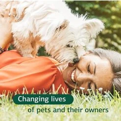 Standard Process - Canine Immune System Support For Dogs - 30 Grams -Dog Supply Store 51loGd8bDWL