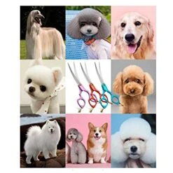 Office Scissors,Craft Scissors,High-end Pet Grooming Scissors Color Grooming Scissors Small Mouth Finishing Scissors Up And Down Double Use Scissors 11 Office Scissors,Craft Scissors,High-end Pet Grooming Scissors Color Grooming Scissors Small Mouth Finishing Scissors Up And Down Double Use Scissors -Dog Supply Store 51muM9iT4PS 3