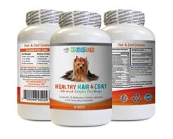 Dog Hair And Skin Supplements - Dog Healthy Hair And Coat - Shinny Coat - Skin Health - Immune Support - Nail Health - Coq10 For Dogs - 60 Treats (1 Bottle)