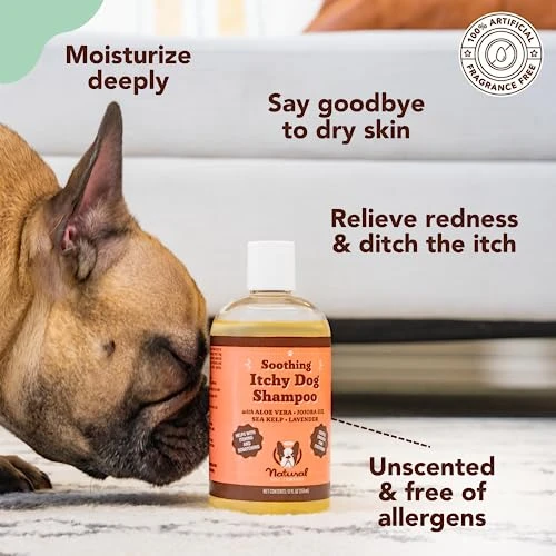 Natural Dog Company Itchy Dog Shampoo, 12 Oz., Dog Dry Skin Treatment, Dog Itch Relief, Hypoallergenic, Plant Based Ingredients, Deodorizing Dog Shampoo, Relief From Skin Allergy Symptoms 5 Natural Dog Company Itchy Dog Shampoo, 12 Oz., Dog Dry Skin Treatment, Dog Itch Relief, Hypoallergenic, Plant Based Ingredients, Deodorizing Dog Shampoo, Relief From Skin Allergy Symptoms - Image 3