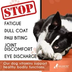 Balanced Breed Dog Vitamins Probiotics Dogs Glucosamine Dogs Chews Dog Joint Supplement Large Breed Dog Calming Treats Dog Multivitamin Dog Vitamins Supplements Dog Anxiety Relief Dog Pill Pocket Chew