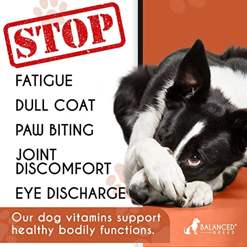 Balanced Breed Dog Vitamins Probiotics Dogs Glucosamine Dogs Chews Dog Joint Supplement Large Breed Dog Calming Treats Dog Multivitamin Dog Vitamins Supplements Dog Anxiety Relief Dog Pill Pocket Chew 3 Balanced Breed Dog Vitamins Probiotics Dogs Glucosamine Dogs Chews Dog Joint Supplement Large Breed Dog Calming Treats Dog Multivitamin Dog Vitamins Supplements Dog Anxiety Relief Dog Pill Pocket Chew