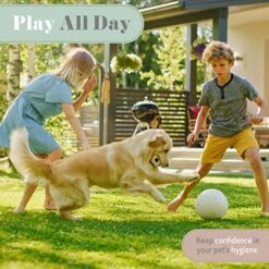 Begley's Natural Pet Detangling Spray - Premium Essential Oil Scented Detangler Spray For Dogs, Puppies & Cats - Dog Leave In Conditioner Spray - Dematting Spray For Dogs & Pets - 16 Oz, Baby Powder -Dog Supply Store 51p8fPDvLyL