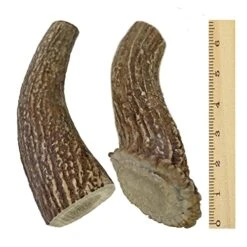 WhiteTail Naturals | Deer Antlers For Large Dogs (2 Pack- Jumbo XXL) All Natural Antler Dog Chew | Naturally Shed, Long Lasting Chew Bone, Made In USA 9 WhiteTail Naturals | Deer Antlers For Large Dogs (2 Pack- Jumbo XXL) All Natural Antler Dog Chew | Naturally Shed, Long Lasting Chew Bone, Made In USA -Dog Supply Store 51q0t8hKn7L