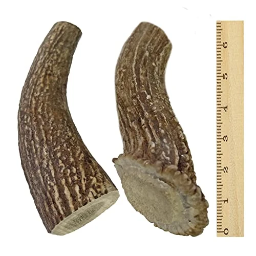 WhiteTail Naturals | Deer Antlers For Large Dogs (2 Pack- Jumbo XXL) All Natural Antler Dog Chew | Naturally Shed, Long Lasting Chew Bone, Made In USA 4 WhiteTail Naturals | Deer Antlers For Large Dogs (2 Pack- Jumbo XXL) All Natural Antler Dog Chew | Naturally Shed, Long Lasting Chew Bone, Made In USA - Image 3