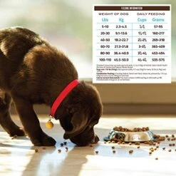 Holistic Select Natural Dry Dog Food, Anchovy & Sardine And Salmon Meal Recipe, 15-Pound Bag, 22121 16 Holistic Select Natural Dry Dog Food, Anchovy & Sardine And Salmon Meal Recipe, 15-Pound Bag, 22121 -Dog Supply Store 51q2q2gjmXL