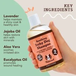 Natural Dog Company Itchy Dog Shampoo, 12 Oz., Dog Dry Skin Treatment, Dog Itch Relief, Hypoallergenic, Plant Based Ingredients, Deodorizing Dog Shampoo, Relief From Skin Allergy Symptoms 9 Natural Dog Company Itchy Dog Shampoo, 12 Oz., Dog Dry Skin Treatment, Dog Itch Relief, Hypoallergenic, Plant Based Ingredients, Deodorizing Dog Shampoo, Relief From Skin Allergy Symptoms -Dog Supply Store 51qqz9U8ZNL 1