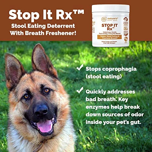 Nature's Pure Edge No Poop Eating For Dogs. Coprophagia Treatment. Digestive Enzyme With Breath Freshener. Stop Eating Poop For Dogs, Stool Eating Deterrent. Extra Large 230 Scoops In Each Jar. 6 Nature's Pure Edge No Poop Eating For Dogs. Coprophagia Treatment. Digestive Enzyme With Breath Freshener. Stop Eating Poop For Dogs, Stool Eating Deterrent. Extra Large 230 Scoops In Each Jar. - Image 4