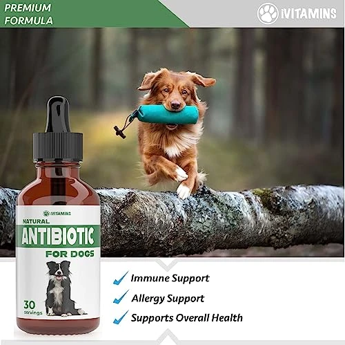 Natural Antibiotics For Dogs | Dog Antibiotics | Supports Dog Allergy Relief | Dog Itch Relief | Dog Allergy Support | Dog Multivitamin | Pet Antibiotics | Dog Antibiotic | 1 Pack: Bacon Flavor 4 Natural Antibiotics For Dogs | Dog Antibiotics | Supports Dog Allergy Relief | Dog Itch Relief | Dog Allergy Support | Dog Multivitamin | Pet Antibiotics | Dog Antibiotic | 1 Pack: Bacon Flavor - Image 2
