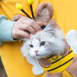 Cat Carrier Cat Bag Going Out Portable Canvas Bag Portable Shoulder Bag Cat Bag Outing Cat Dog Pet Backpack Pet Carrier (Size : Small) -Dog Supply Store 51rTzPsWnWL