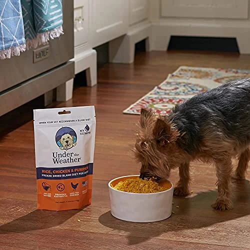 Under The Weather Easy To Digest Bland Diet For Sick Dogs - Contains Electrolytes - Gluten Free, All Natural, Freeze Dried 100% Human Grade Meats - Rice, Chicken & Pumpkin 5 Under The Weather Easy To Digest Bland Diet For Sick Dogs - Contains Electrolytes - Gluten Free, All Natural, Freeze Dried 100% Human Grade Meats - Rice, Chicken & Pumpkin - Image 3