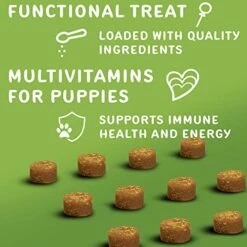 Waggedy Puppy Vitamin Chews –60 Chewy Multivitamins, Full Spectrum Functional Treats, Large Or Small Breed Puppy Supplement: Joint, Digestion, Immune System, Eyes & Coat 4.6 Oz. USA, Time Released 14 Waggedy Puppy Vitamin Chews –60 Chewy Multivitamins, Full Spectrum Functional Treats, Large Or Small Breed Puppy Supplement: Joint, Digestion, Immune System, Eyes & Coat 4.6 Oz. USA, Time Released -Dog Supply Store 51tK9eB1GYL