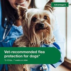 Advantage II Small Dog Vet-Recommended Flea Treatment & Prevention | Dogs 3-10 Lbs. | 4-Month Supply -Dog Supply Store 51vaZWk2oEL
