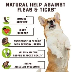 Flea And Tick Prevention Chewable For Dogs - No Collars, No Mess - Easy Help With Flea And Tick For Dogs - American Quality - For All Breeds And Ages - Duck-Flavored Treats - 180 Flea Chews For Dogs -Dog Supply Store 51vlluDJBoL