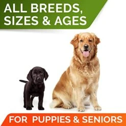 STRELLALAB Pumpkin For Dogs - 8.1oz High Fiber Powder Supplement - Stool Consistency And Softener - Diarrhea, Constipation, Upset Stomach, Food Sensitivity, Scoot - Digestion Support - Made In USA -Dog Supply Store 51vwXuJ6pcL