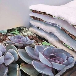 GENERIC Yellow Dog Bed Mat Breakfast Food Cartoon Like Image Puppy Dog Blanket Pet Blanket Small Dog Indoor Cat Kitten Fast Food Dessert 18" X 22" -Dog Supply Store 51wLFwiXKNL. AC