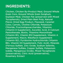 IAMS Small & Toy Breed Adult Dry Dog Food For Small Dogs With Real Chicken, 7 Lb. Bag -Dog Supply Store 51wWnhNjaWL