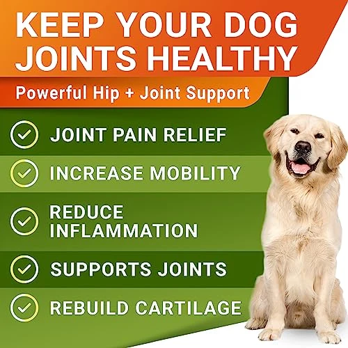 Hemp Treats - Glucosamine Dog Joint Supplement + Omega 3 - W/Hemp Oil - Chondroitin, MSM - Advanced Mobility Chews - Joint Pain Relief - Hip & Joint Care - Chicken Flavor - 120 Ct - Made In USA 5 Hemp Treats - Glucosamine Dog Joint Supplement + Omega 3 - W/Hemp Oil - Chondroitin, MSM - Advanced Mobility Chews - Joint Pain Relief - Hip & Joint Care - Chicken Flavor - 120 Ct - Made In USA - Image 3