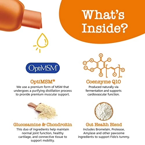 Zesty Paws 8-in-1 Flavor Infusions For Dogs - Glucosamine, Chondroitin, And MSM For Pet Hip & Joint Health - Omega 3 Fish Oil For Skin - For Dog Gut, Immune, Heart, Kidney & Liver Support - 16 Fl Oz 6 Zesty Paws 8-in-1 Flavor Infusions For Dogs - Glucosamine, Chondroitin, And MSM For Pet Hip & Joint Health - Omega 3 Fish Oil For Skin - For Dog Gut, Immune, Heart, Kidney & Liver Support - 16 Fl Oz - Image 4