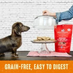 Stella & Chewy’s Freeze Dried Raw Dinner Patties – Grain Free Dog Food, Protein Rich Stella’s Super Beef Recipe – 14 Oz Bag -Dog Supply Store 51xztHjt61L