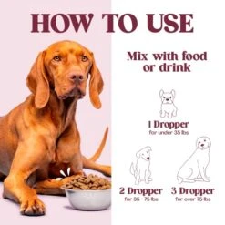 Adrenal Support For Dogs - Adrenal Support Supplements - Kidney Support For Dogs - Natural Cushings Treatment For Dog Kidney Support - Dog Adrenal Support - Add To Dog Treats Or Kidney Dog Food -Dog Supply Store 51y98jMBvCL