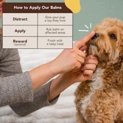 Natural Dog Company Snout Soother Dog Nose Balm, 2 Oz. Tin, Dog Balm For Paws And Nose, Moisturizes & Soothes Dry Cracked Noses, Plant Based Nose Cream For Dogs 9 Natural Dog Company Snout Soother Dog Nose Balm, 2 Oz. Tin, Dog Balm For Paws And Nose, Moisturizes & Soothes Dry Cracked Noses, Plant Based Nose Cream For Dogs -Dog Supply Store 51y9idopDQL