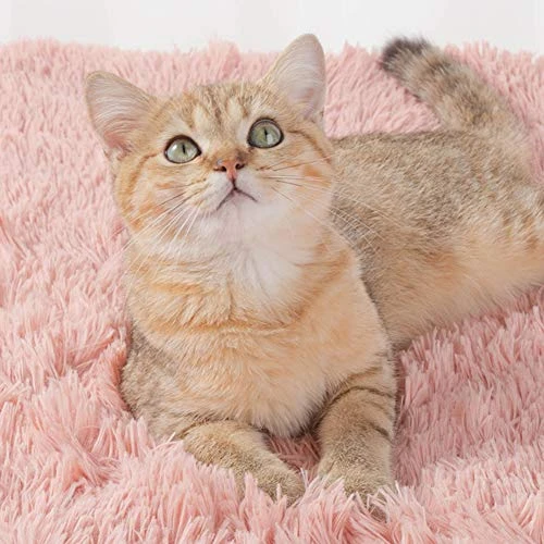 SONGBIRDTH Pet Bed,Winter Warm Small/Medium Puppy Cats Dogs Carpet Fluffy Plush Pet Soft Blanket,Breathable Cotton Blend,Removable Easy To Clean Light Grey M 4 SONGBIRDTH Pet Bed,Winter Warm Small/Medium Puppy Cats Dogs Carpet Fluffy Plush Pet Soft Blanket,Breathable Cotton Blend,Removable Easy To Clean Light Grey M - Image 2