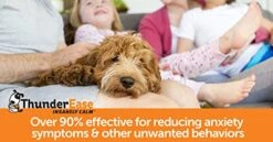 ThunderEase Calming Anti Anxiety Pheromone Collar For Dogs (Large) -Dog Supply Store 51ycXXccC6L